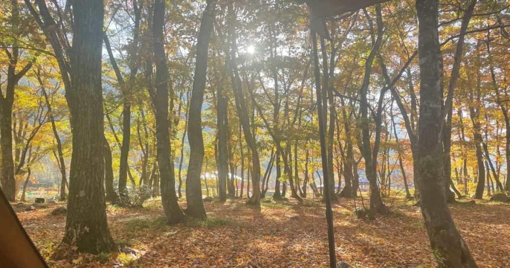 ひらせ温泉キャンプ