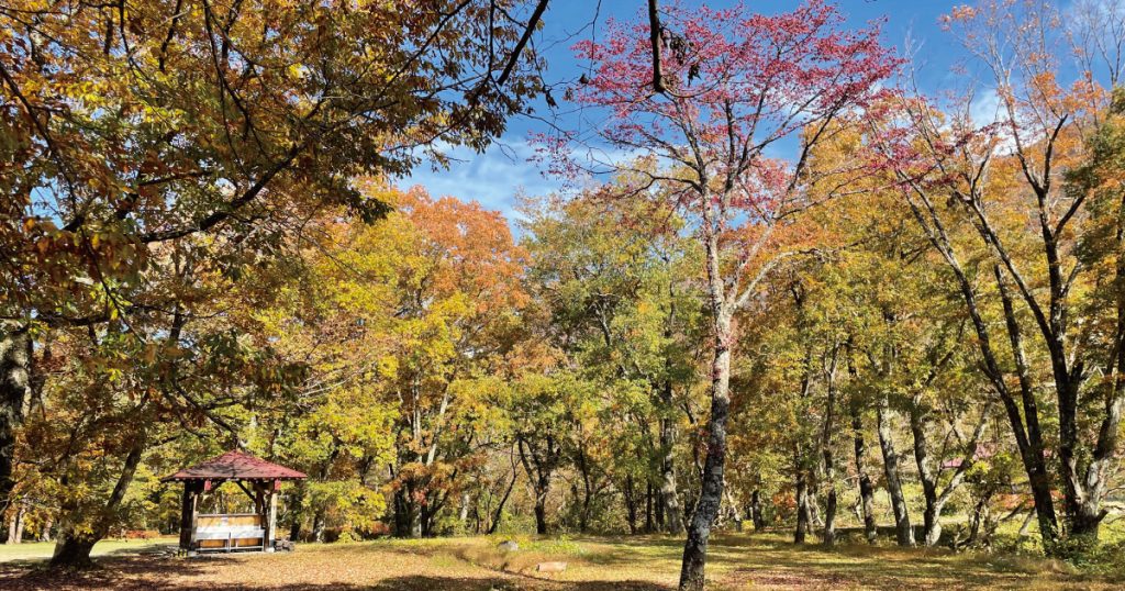 ひらせ温泉キャンプ